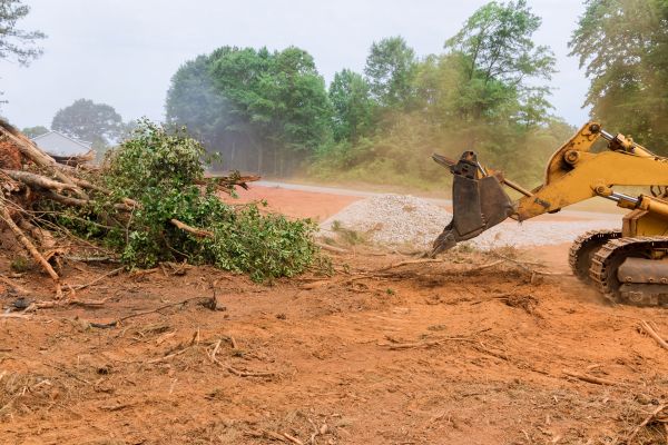 Ground Clearing in Laguna Niguel