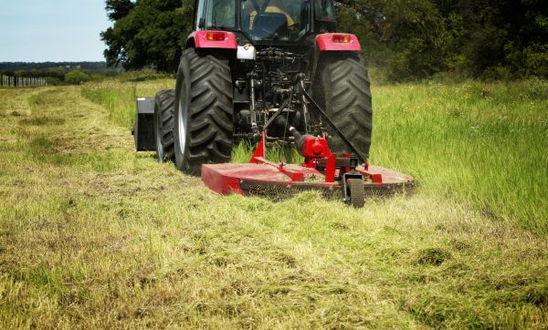 Brush Clearing Service in Laguna Niguel