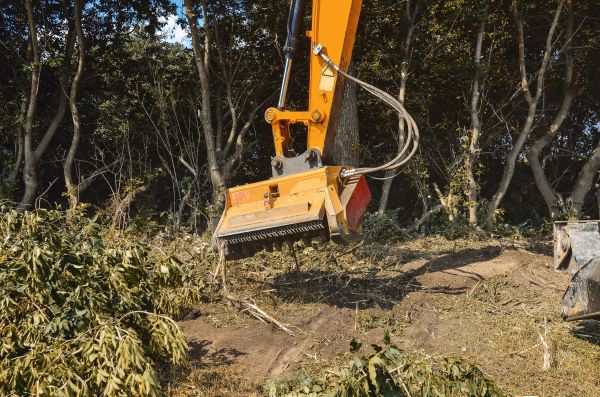 Brush Removal Service in Laguna Niguel