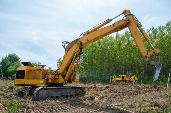 Cost of Farm Clearing in Laguna Niguel