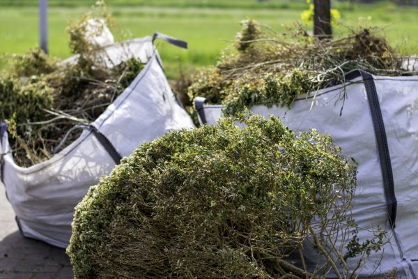 Cost of Bushes Clearing in Laguna Niguel