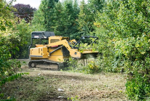 Cost of Pathway Clearing in Laguna Niguel