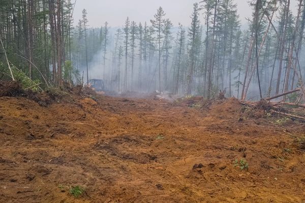 Cost of Hill Clearing in Laguna Niguel