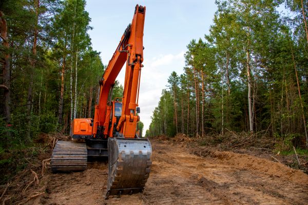 Cost of Backhoe Land Clearing in Laguna Niguel
