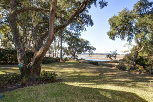 Cost of Lakefront Property Clearing in Laguna Niguel
