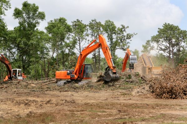 Cost of Commercial Lot Clearing in Laguna Niguel