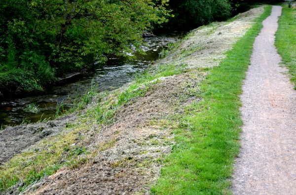 Cost of Trail Cutting in Laguna Niguel