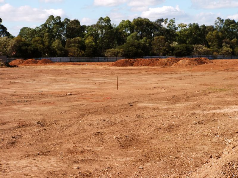 Cleared Land with Level Surface