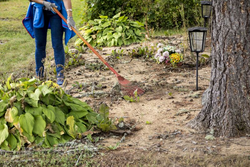 Experienced Land Clearing Teams